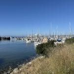 IMG_9749(1) (May 09, 2025)